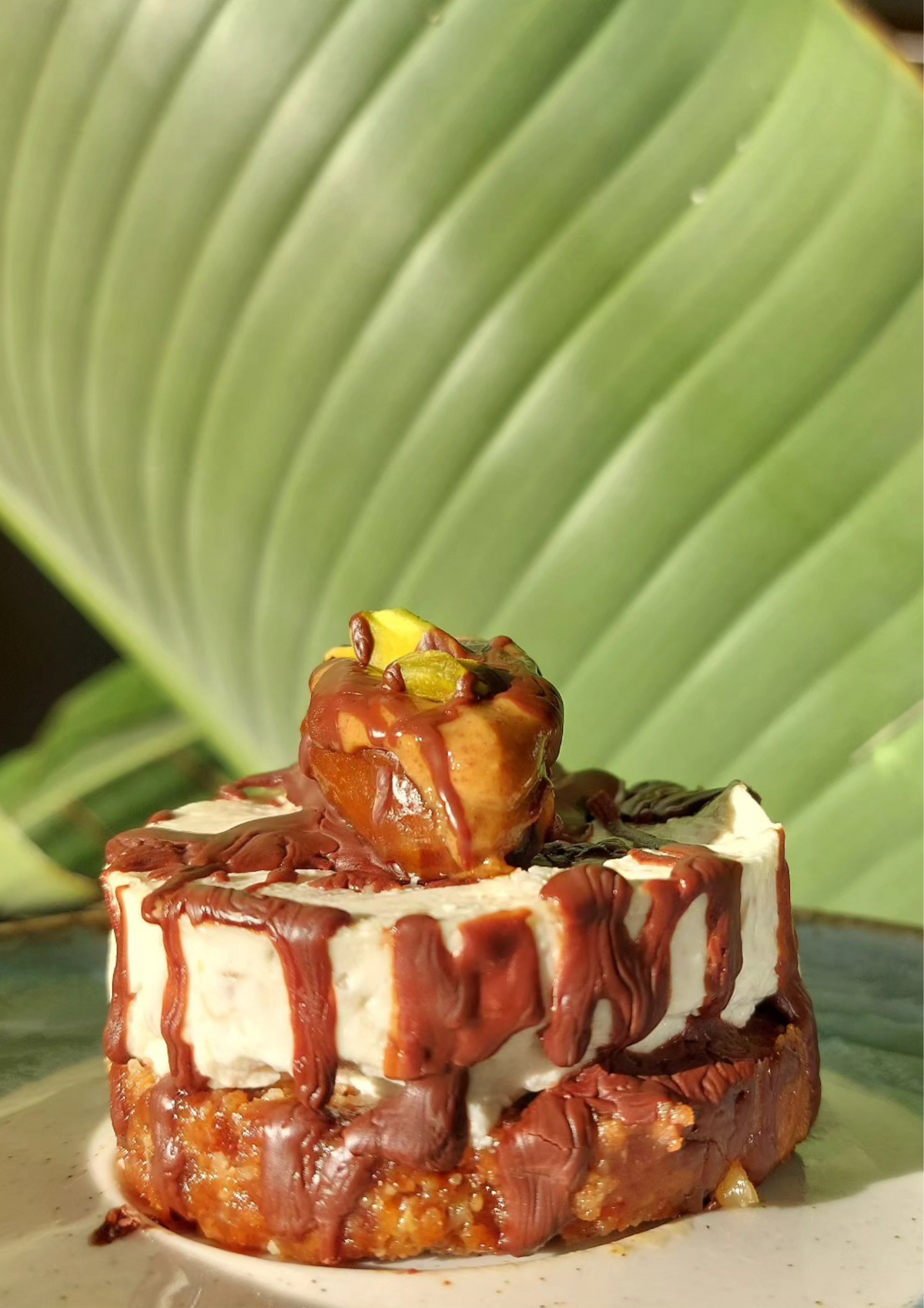 Mini Cheesecake — Box of 6
